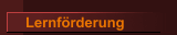 Lernf&ouml;rderung